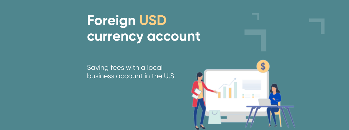 Local foreign dollar currency account | amnis